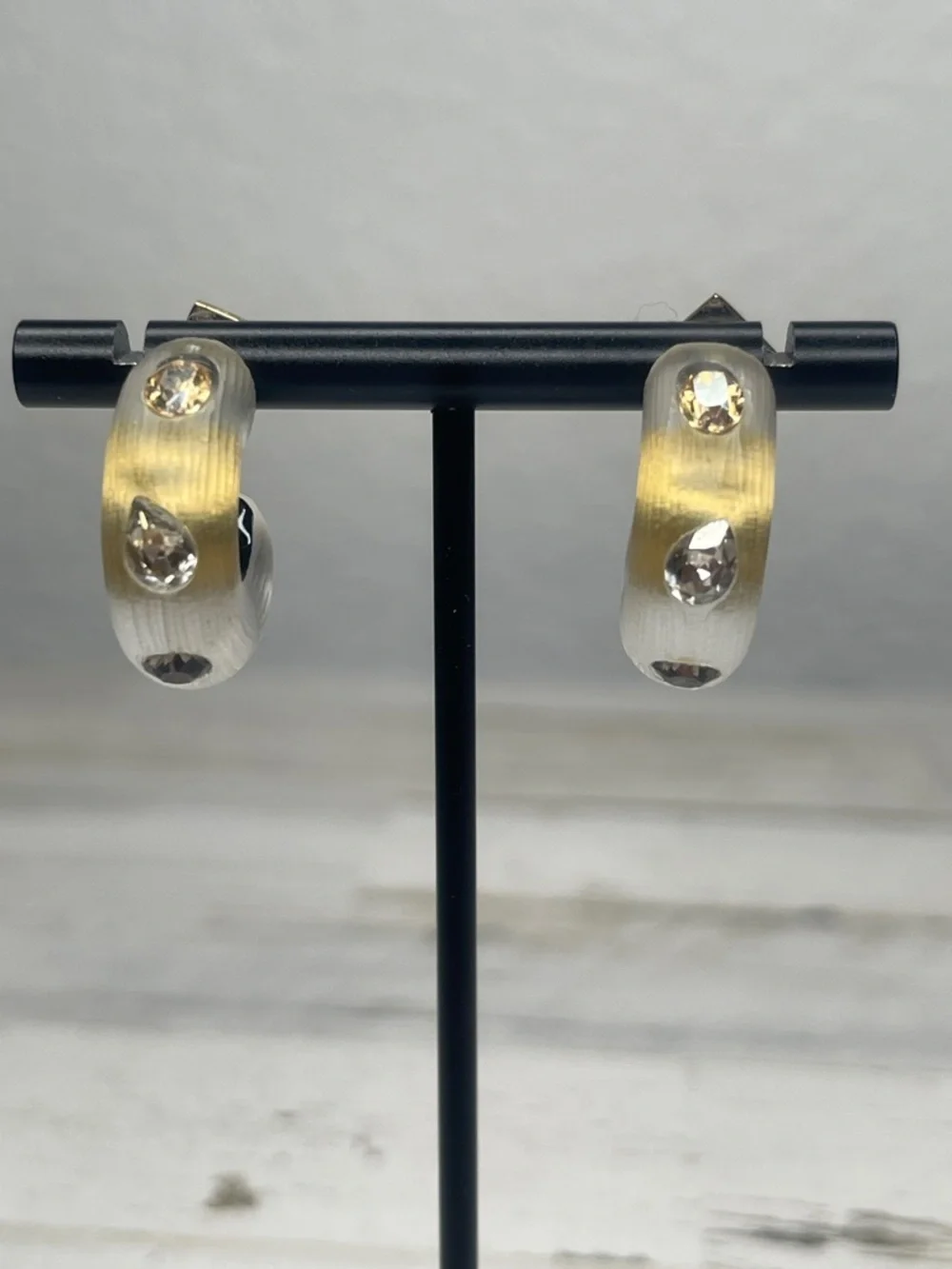 Alexis Bittar Frosted Gradient Lucite Crystal Hoop Earrings